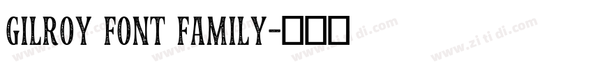 Gilroy Font Family字体转换